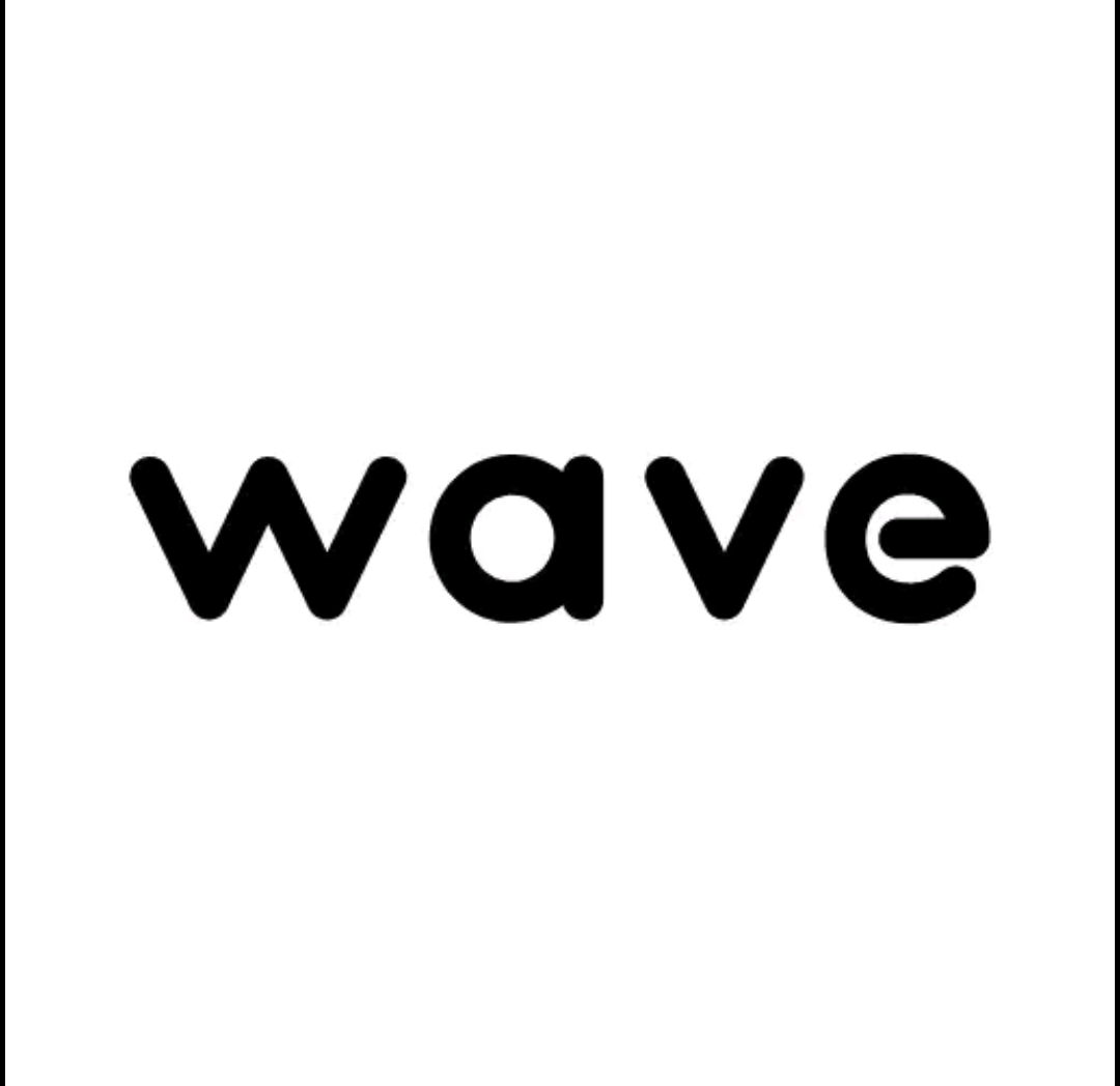 Wave Pro